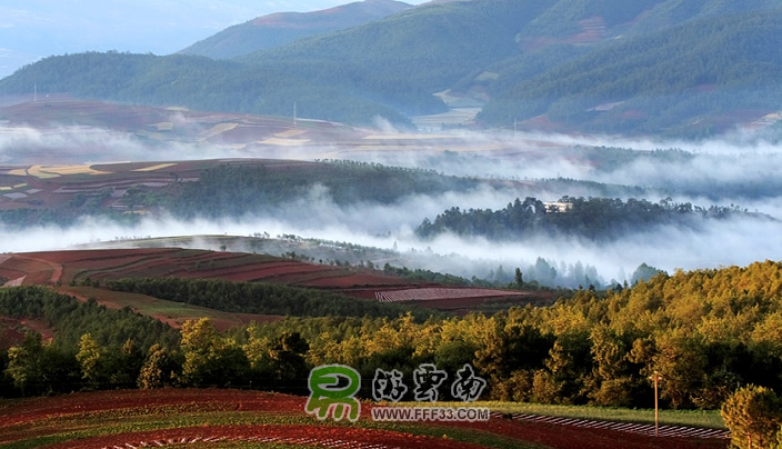 云南東川紅土地拍攝