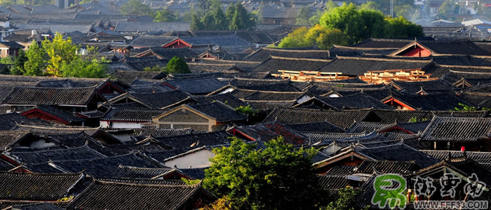 麗江古城風(fēng)光