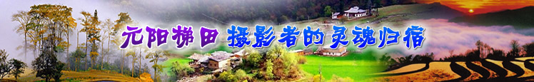 元陽(yáng)梯田攝影