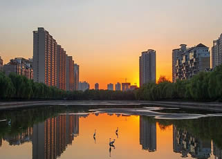 四月份適合去哪兒旅游？洛陽(yáng)