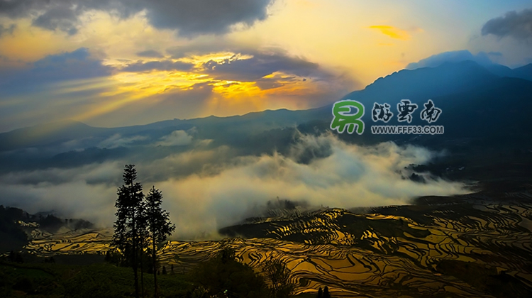 云南紅河元陽(yáng)哈尼梯田,由易游云南攝影組織拍攝。