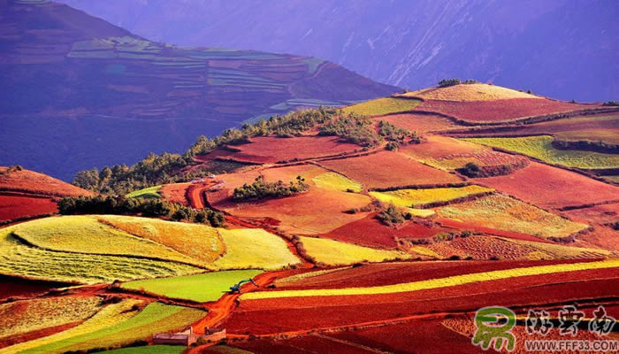東川紅土地風(fēng)光