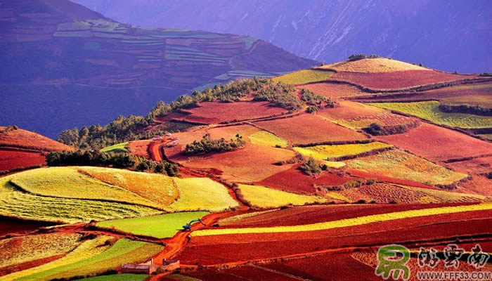 11月底東川紅土地風(fēng)光由易游云南攝影旅游網(wǎng)組織拍攝