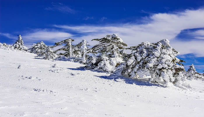 昆明轎子雪山雪景