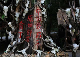 云南秘境原始部落孟定、滄源、翁丁、西盟、景邁山、西雙版納邊境9日純玩旅游團(tuán)