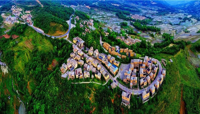 四素同構，萬物共生