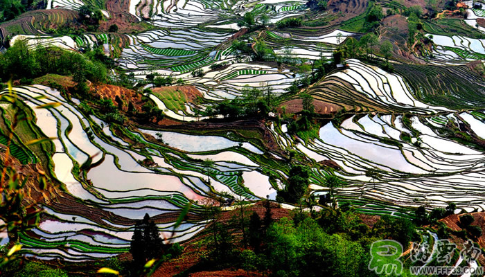 元陽(yáng)梯田