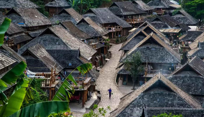 普洱景邁山風(fēng)光