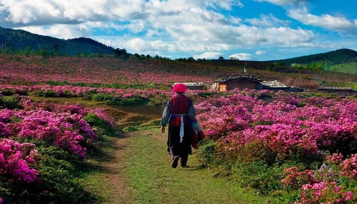 千湖山風景區(qū)